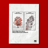 Strength in Rigidity vs Flexibility - Unframed
