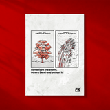 Strength in Rigidity vs Flexibility - Unframed